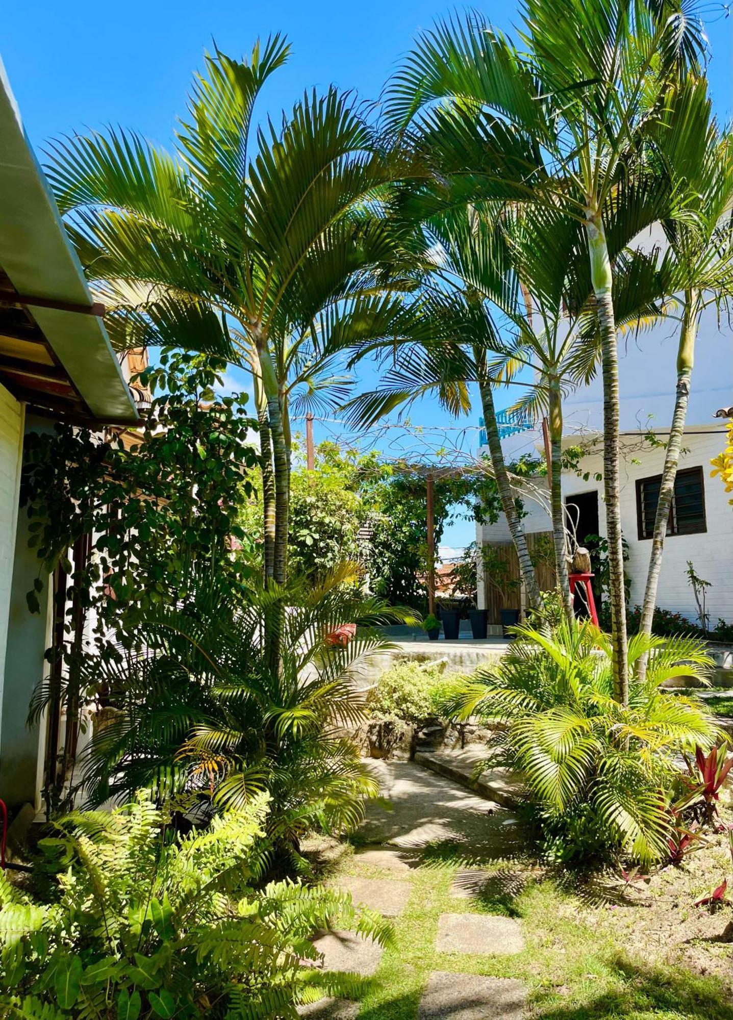 Casa Tua Pipa Apartment Praia de Pipa Exterior photo